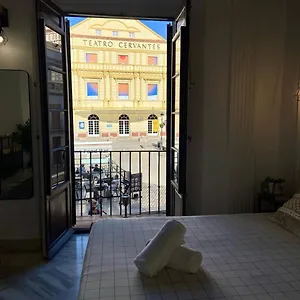 book here